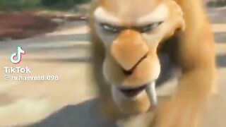 Funny video