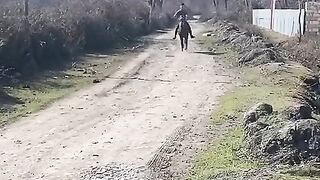 лдпаврр