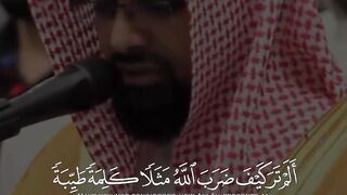 الشيخ ناصر القطامي