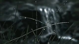 Music????+Rain????️