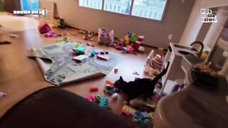 FUNNIEST Pet Fails! ???? ???? | Best Compilation 2023
