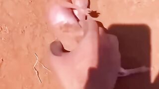 This family rescued a baby kangaroo in the back hil