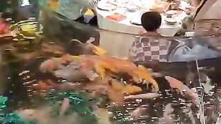 مطعم السمك في الصين
