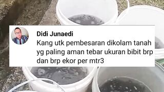 Jika pembesaran lele dikolam TANAH tebar ukuran berapa dan berapa/m³ nya..?