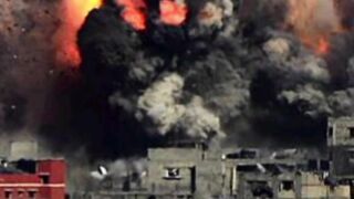 Ek phool tha ma save Palestine