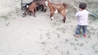 Cute baby
