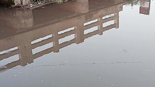 Small sparrows  flying  under bridge in the morning time