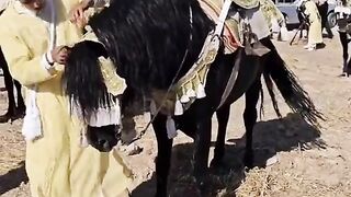 ركوب الخيل