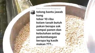 Jika tebar bibit lele 10rb ekor berapa sak pakan yang harus kita siapkan sampai panen❓