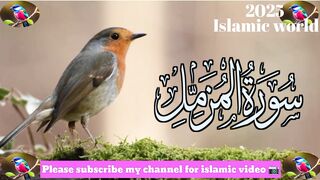 Surah muzamil