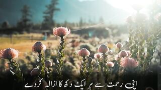 Allah ❤️ is great. .