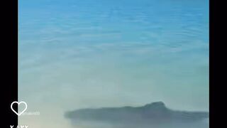 قرش النمر