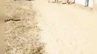 best funny video
