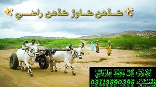 villagers life soul of Heart
