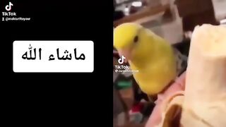 اسمع الصوت