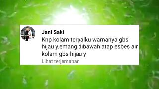 Apakah kolam tertutup ASBES air kolam gak bisa HIJAU❓