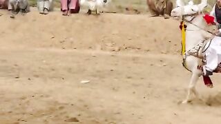 horsedance #foryoupage #fypviral #foryou #viral #imrankhan #fypシ゚viral #horsedance2024#viralvi