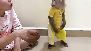 Super-Clever-Monkey-Jacky
