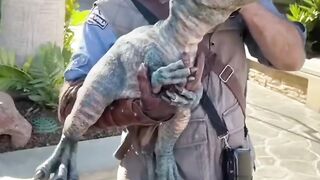Baby dinosaurs ????