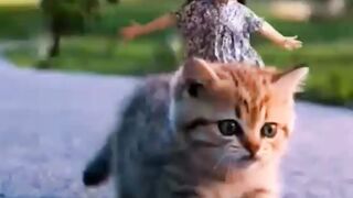 Baby ride on cat wao????????????????????