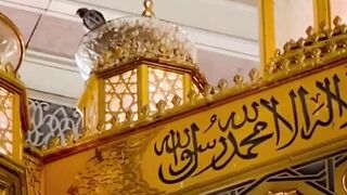 Wo mara nabi mara nabi hy