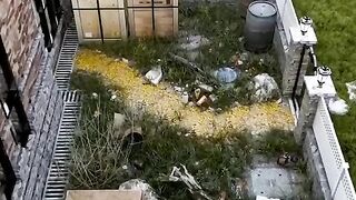 Small garden design