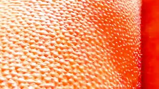 fact video