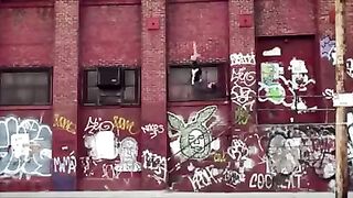 crazy video
