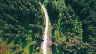 "Tranquil Oasis: A Serene Journey Through Nature's Beauty"