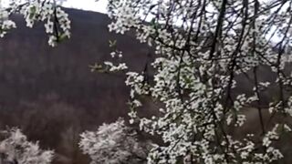 Beautiful nature