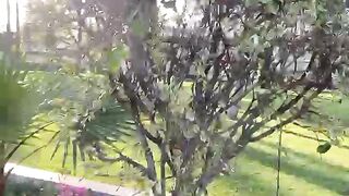 Friends gathering