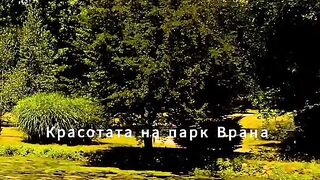 ПАРКЪТ ВРАНА