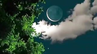 Recitation of quraan