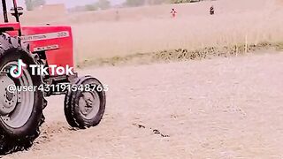 Best to funny videos.real funny videos. funny video.viral funny video.latest funny video