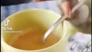 Lorito tomando el te