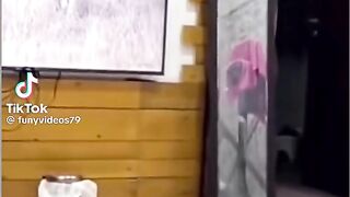 Pobre monito se asusto
