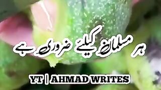 Nabi_Pak_SAW_Ni_Farmay_Har_Muslim_Ki_liy_Sadka_Lizme_Hai#viral(360p).