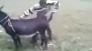 just funny