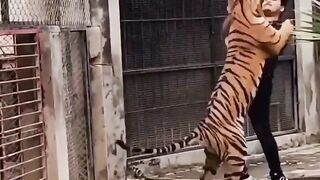 tiger_is_a_good_friend(720p).