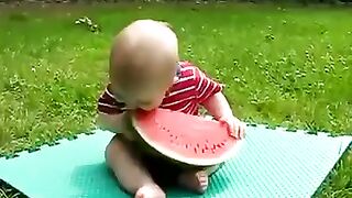 fun has fun