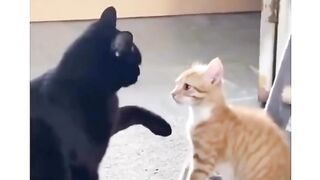 ❤ Double tap ❤