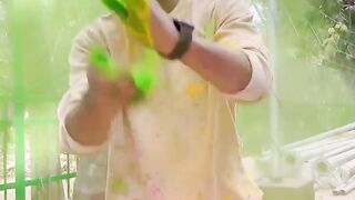HAPPY HOLI SE COMMENT BOX BHARDO_--⭐️❤️