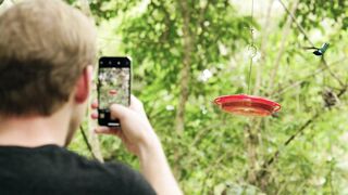 "Flight and Song: Exploring the Avian Realm"