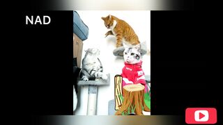 Funny video