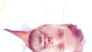گندم کی کٹائی