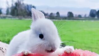 So tasty