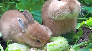 Baby and mum