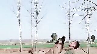 very dangerous dog in the world