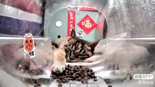 eeping in the feeder
