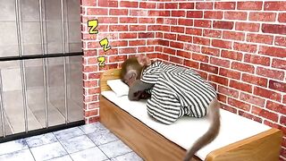 Monkey baby  bon bon escape the awesome